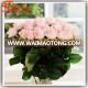 2015 decoration wedding flower hand-feeling fabric flower beautiful flower rose